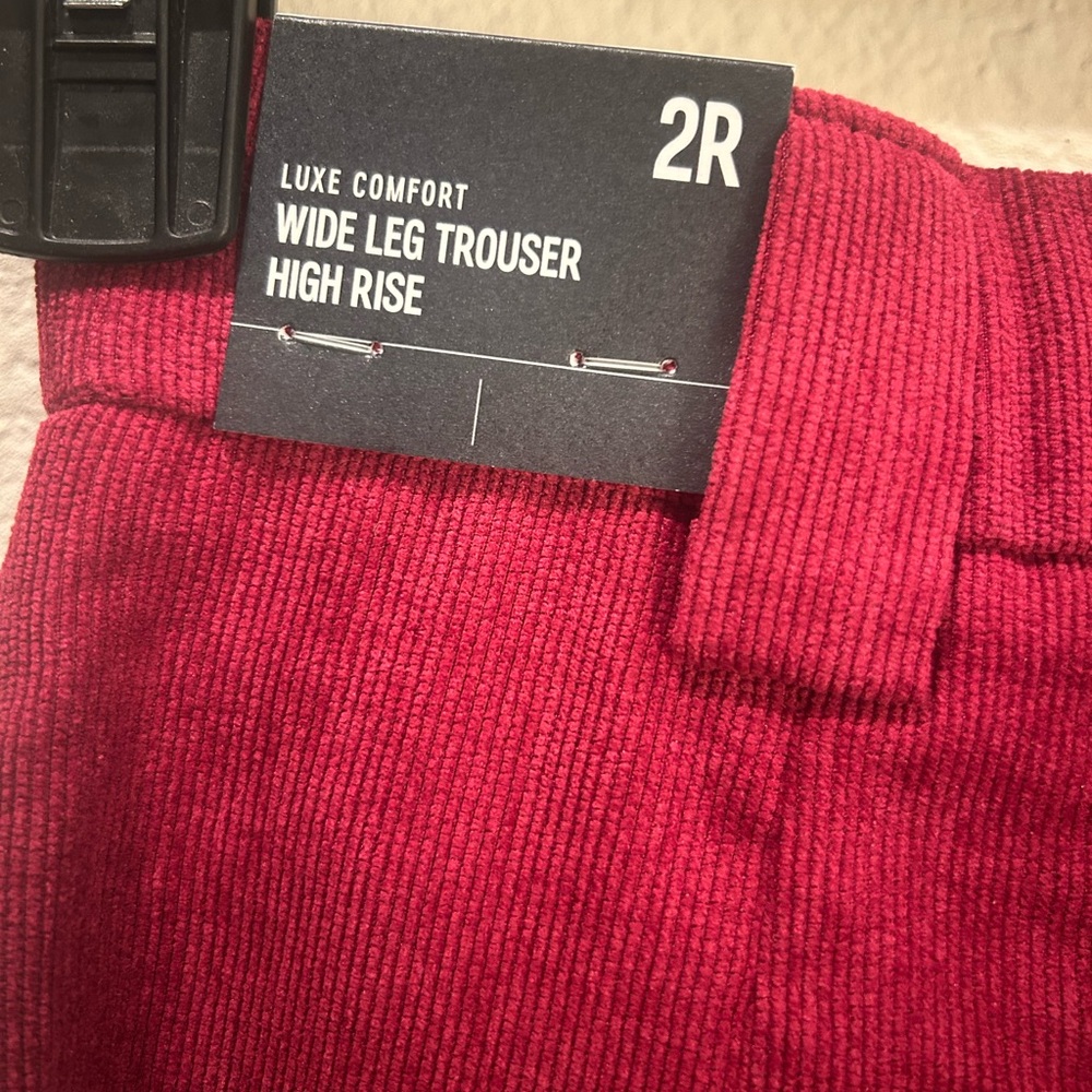 Express Berry Corduroy Pants